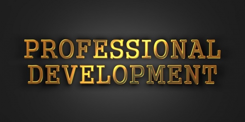 What Is Professional Development and Why is it Important?